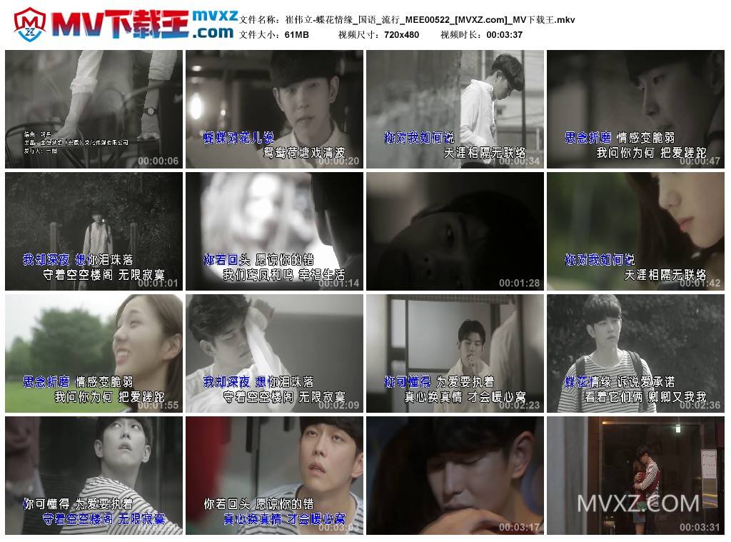 崔伟立-蝶花情缘_国语_流行_MEE00522